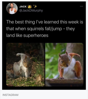 1680565749650.png