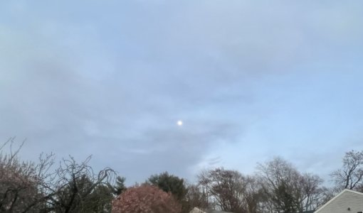 9666BFAE-45ED-473B-9FBD-0C7793E03386.jpeg
