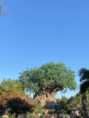IMG_4461.JPEG