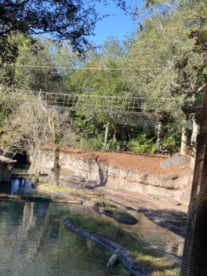 IMG_4478.JPEG
