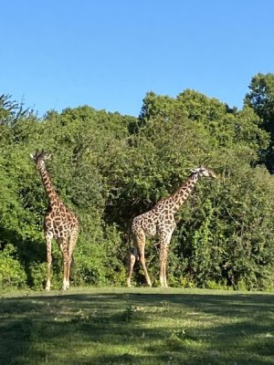 IMG_4482.JPEG