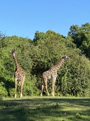 IMG_4483.JPEG