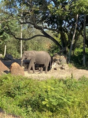 IMG_4490.JPEG