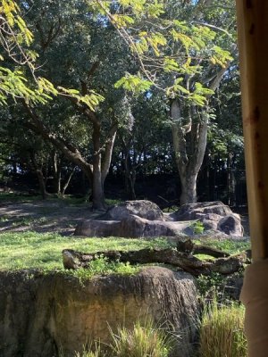 IMG_4494.JPEG