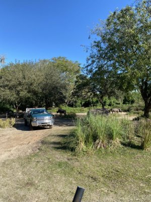 IMG_4496.JPEG