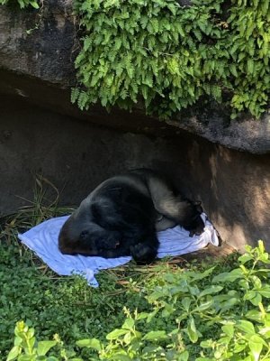 IMG_4499.JPEG