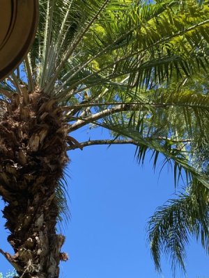 IMG_4500.JPEG