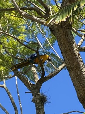 IMG_4502.JPEG