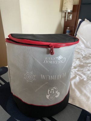 Defective Platinum Cooler Bag.jpg