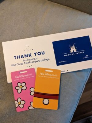 luggage tags.jpg