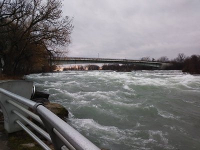20230325_104238.jpg