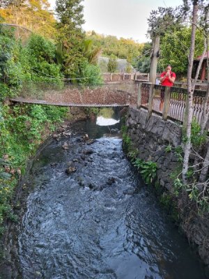 20230314_193145.jpg