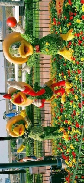 thumbnail_IMG_3308.jpg