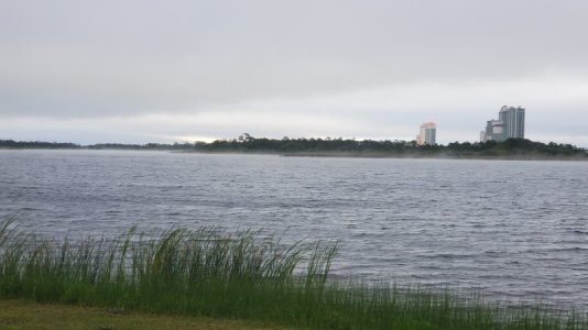 20230409_072024.jpg
