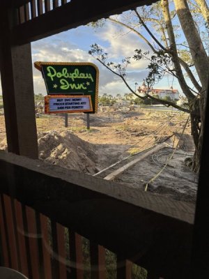 polydayview2.jpg