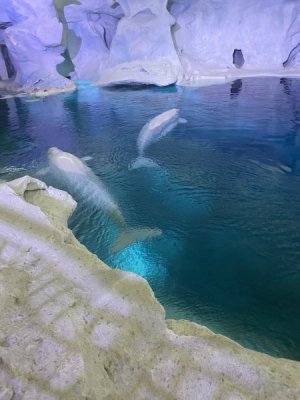 IMG_7843.JPG