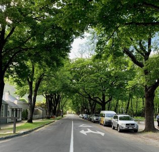 Day 13 Arrowtown street.jpg