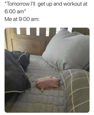 1681578915281.png