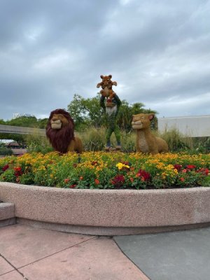 lion king flower and garden festival.jpg lion king flower and garden festival.jpg