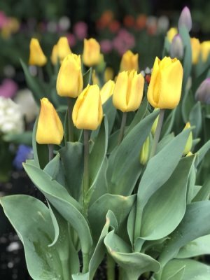 IMG_1591.jpeg