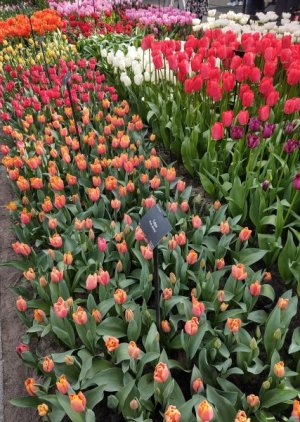 IMG_20230405_013431967_HDR(1).jpg