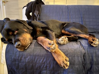 demon snoozles.jpg