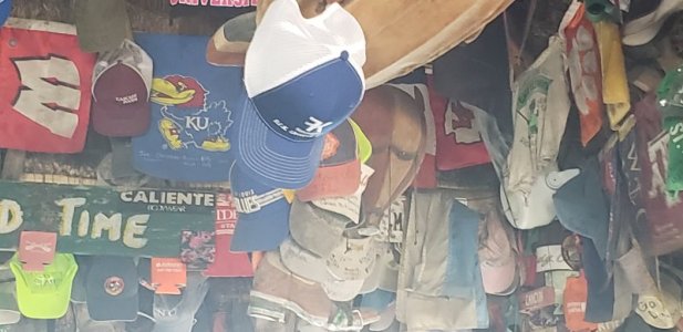 20230415_133733.jpg