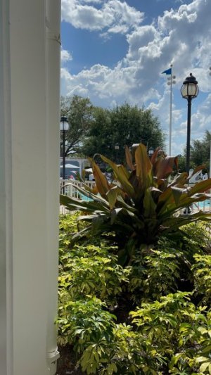 IMG_7606.jpeg