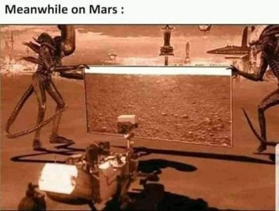 341514131_194919146650276_4045081342137516476_n.jpg