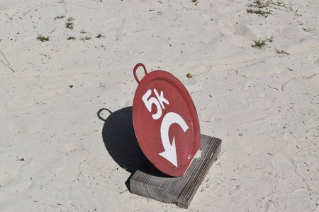 DSC_3937.JPG