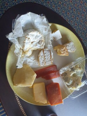 20220922_130100.jpg
