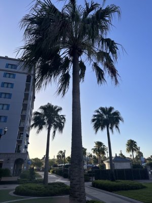 IMG_0634.jpeg