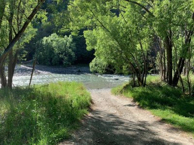 Day 14 Arrow river.jpg