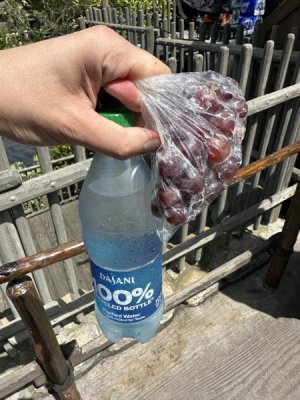 IMG_4695.jpeg