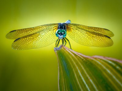 _D3_6571-Edit.jpg _D3_6571-Edit.jpg