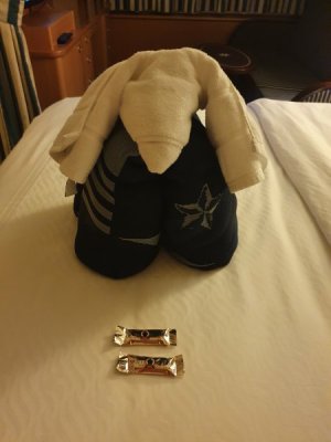 20220920_230827.jpg