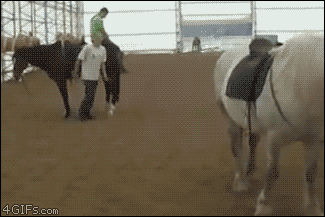 horse kick.gif