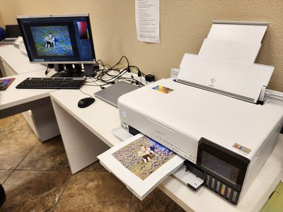 20230421_113207.jpg 20230421_113207.jpg