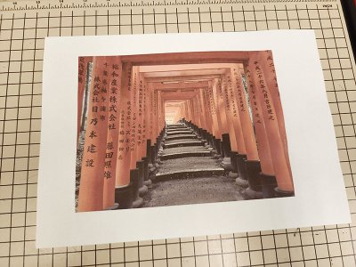 20230421_121245.jpg 20230421_121245.jpg