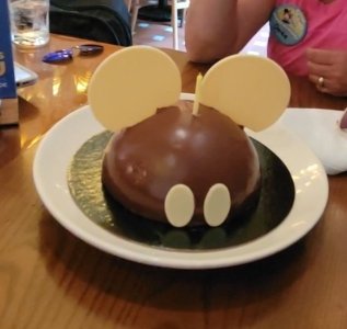FireShot Capture 001 - Disney World pool rules and FAQs (including the facts about pool - WD_ ...jpg