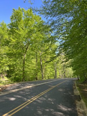 Beach Drive.jpg