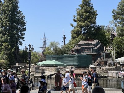 IMG_2979.jpeg