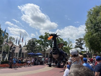 IMG_1203.jpeg
