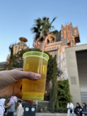 IMG_4796.JPEG