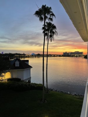 A7B11C8A-FA6F-4B08-8484-D3622B528244.jpeg