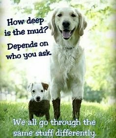 how deep is the mud.jpg