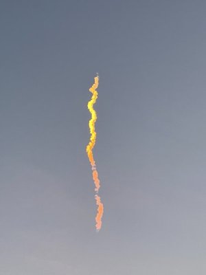 2A0361C7-D583-407B-B294-40C6882B1215.jpeg