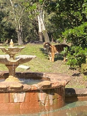 IMG_4524.JPEG