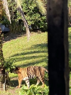 IMG_4530.JPEG