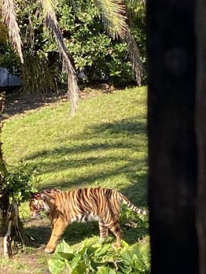 IMG_4531.JPEG